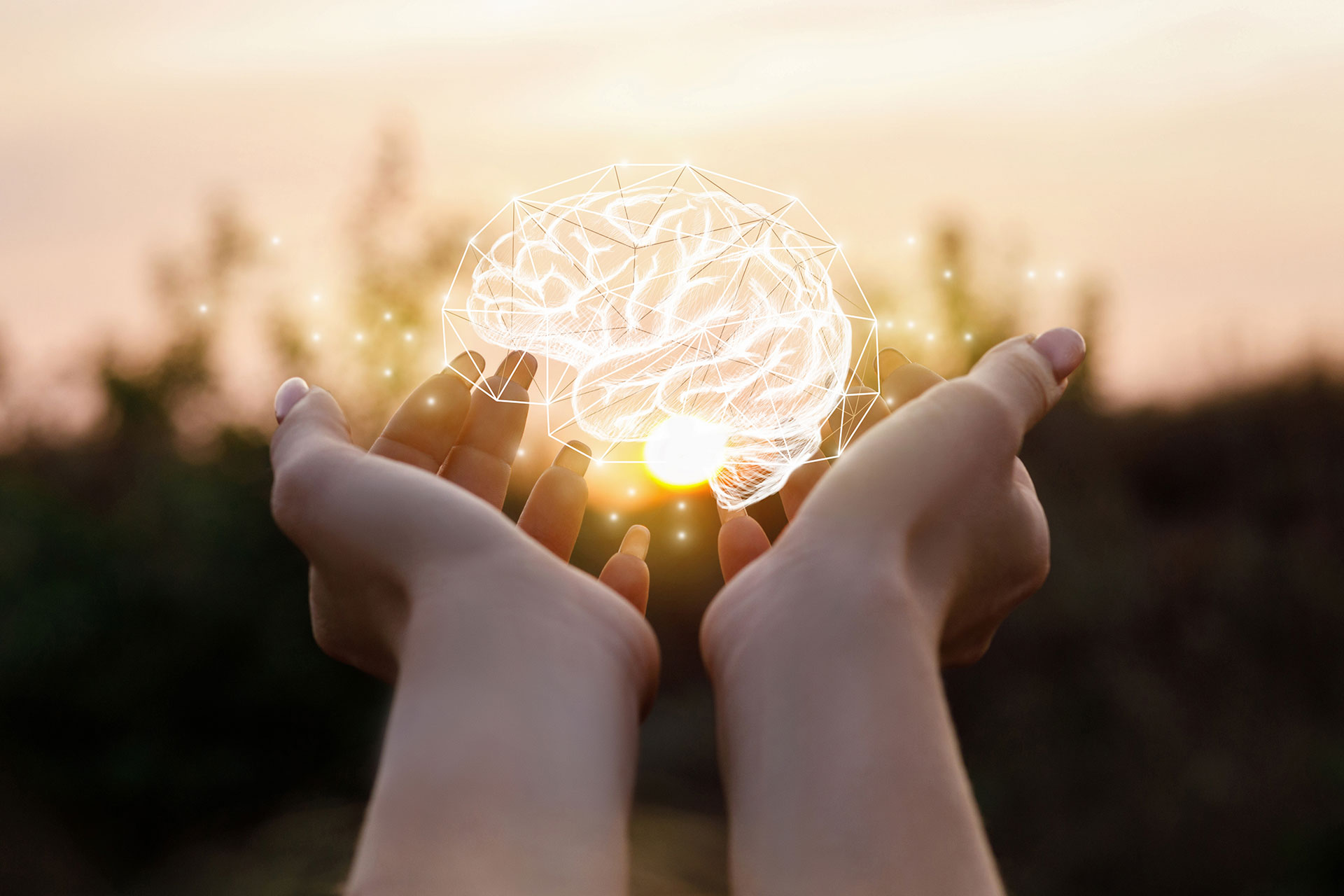 Neuropsicologia